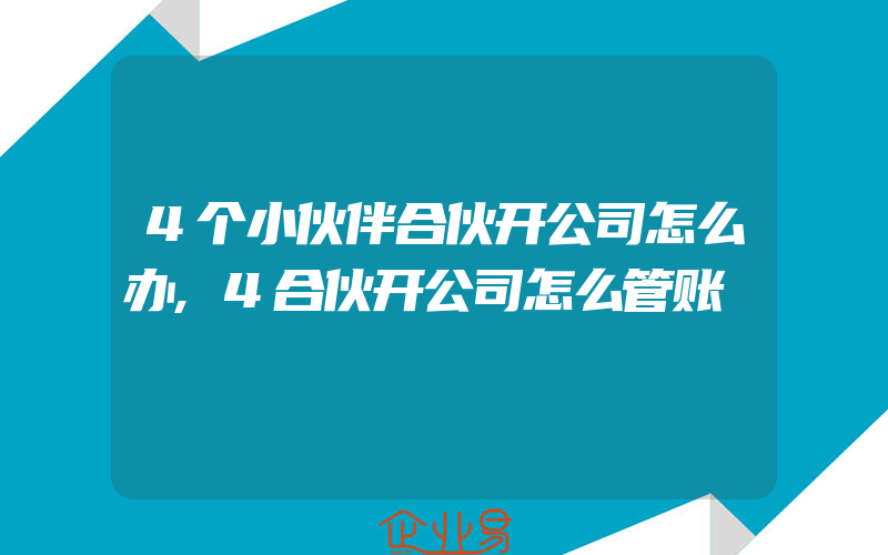 4个小伙伴合伙开公司怎么办,4合伙开公司怎么管账