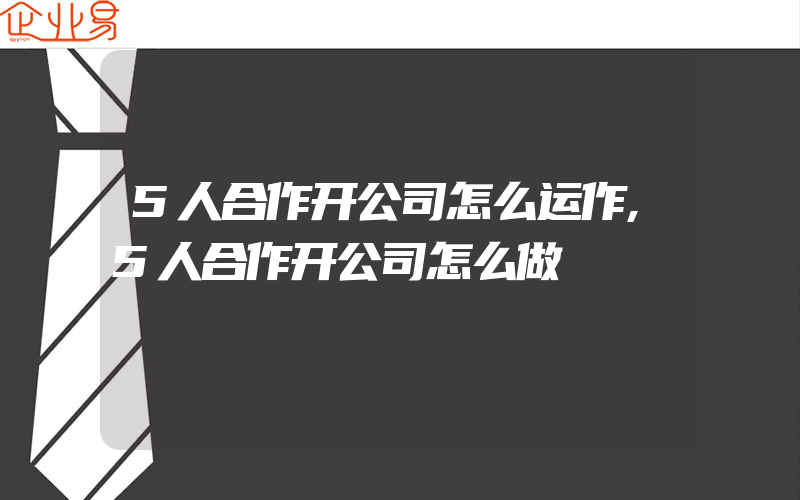 5人合作开公司怎么运作,5人合作开公司怎么做