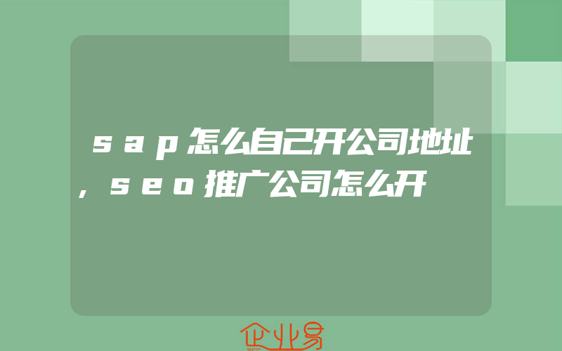 sap怎么自己开公司地址,seo推广公司怎么开