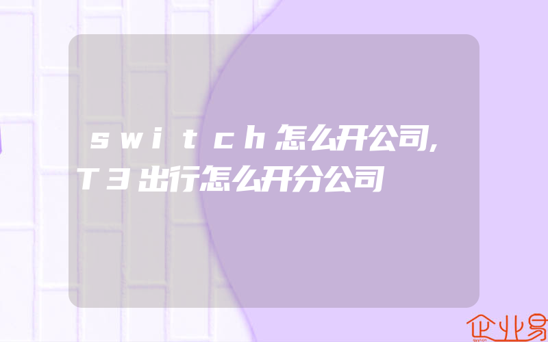 switch怎么开公司,T3出行怎么开分公司