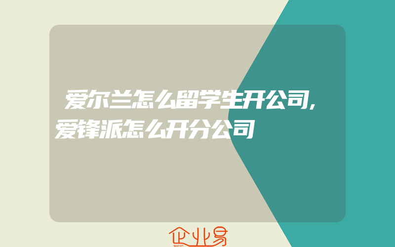 爱尔兰怎么留学生开公司,爱锋派怎么开分公司