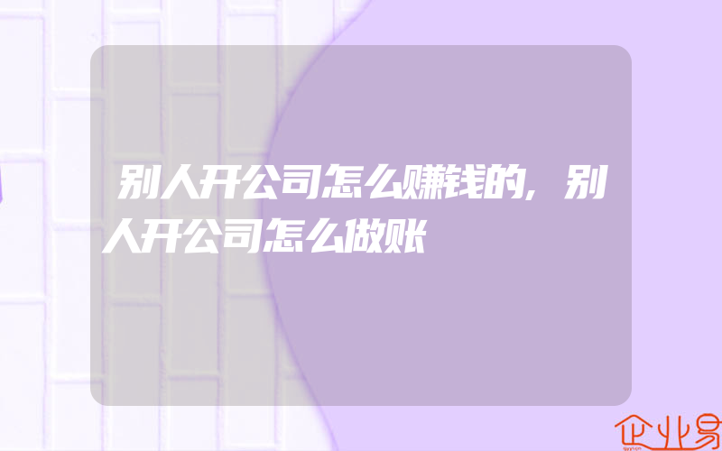 别人开公司怎么赚钱的,别人开公司怎么做账