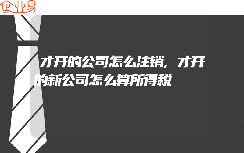 才开的公司怎么注销,才开的新公司怎么算所得税