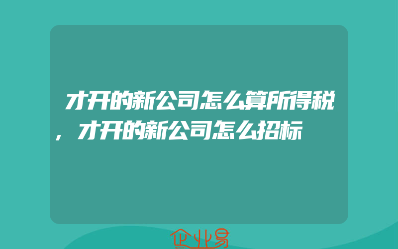 才开的新公司怎么算所得税,才开的新公司怎么招标