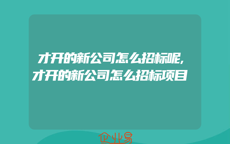 才开的新公司怎么招标呢,才开的新公司怎么招标项目