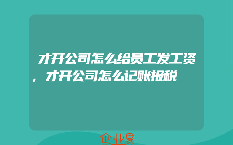 才开公司怎么给员工发工资,才开公司怎么记账报税