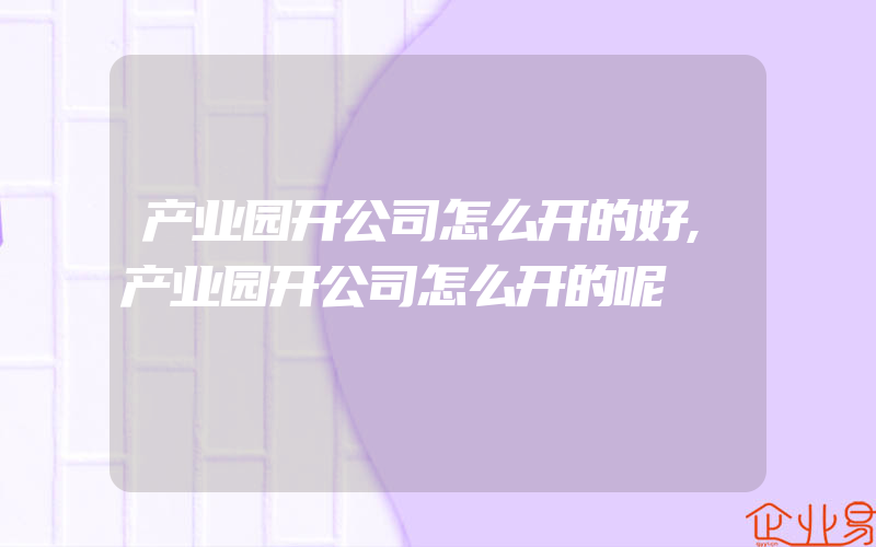 产业园开公司怎么开的好,产业园开公司怎么开的呢