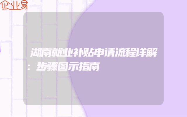 湖南就业补贴申请流程详解：步骤图示指南