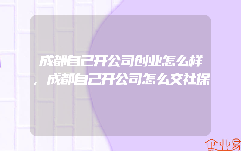 成都自己开公司创业怎么样,成都自己开公司怎么交社保