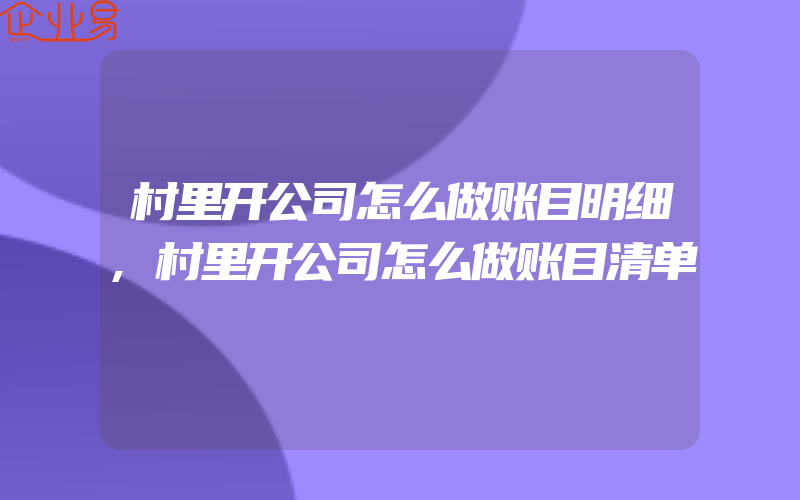 村里开公司怎么做账目明细,村里开公司怎么做账目清单