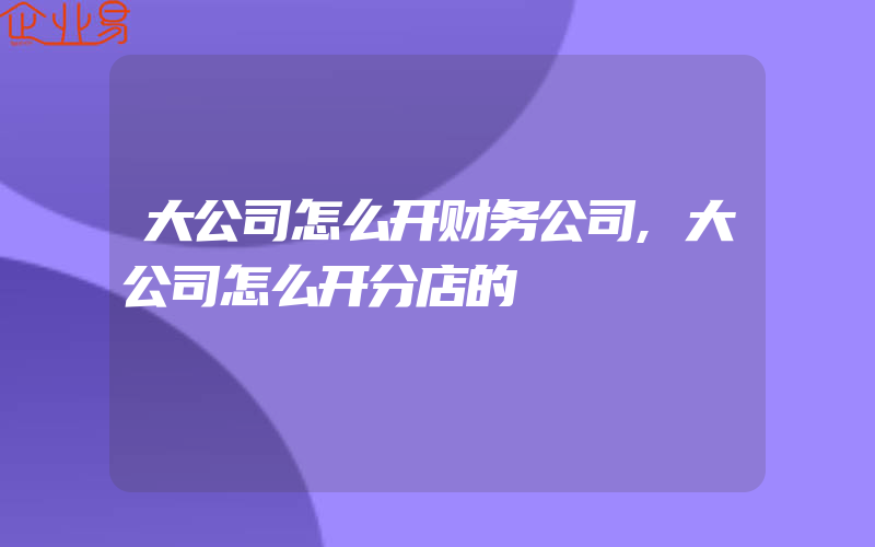 大公司怎么开财务公司,大公司怎么开分店的