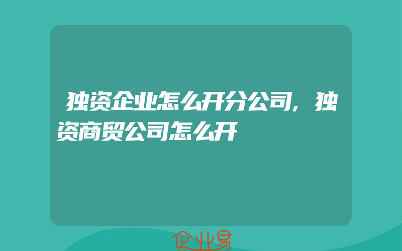 独资企业怎么开分公司,独资商贸公司怎么开