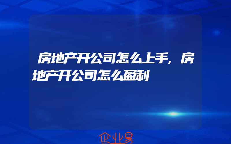 房地产开公司怎么上手,房地产开公司怎么盈利