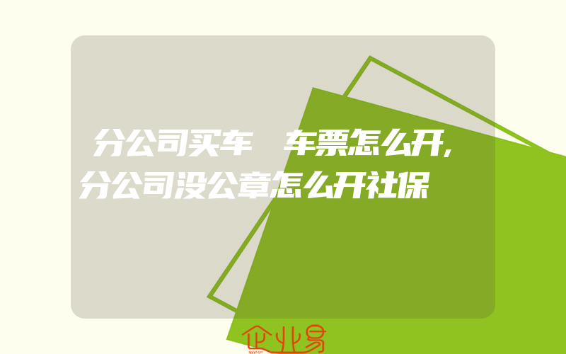 分公司买车 车票怎么开,分公司没公章怎么开社保