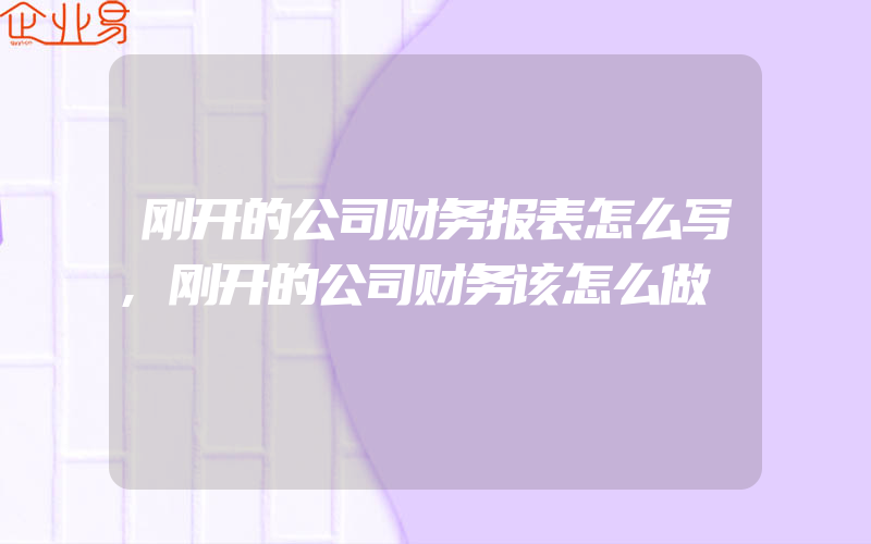 刚开的公司财务报表怎么写,刚开的公司财务该怎么做