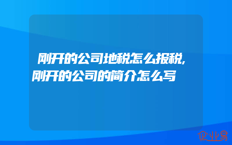 刚开的公司地税怎么报税,刚开的公司的简介怎么写