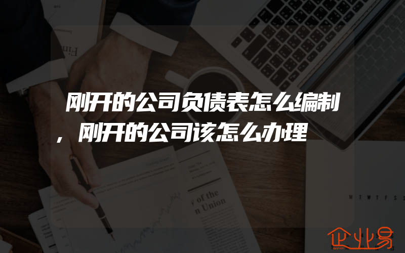 刚开的公司负债表怎么编制,刚开的公司该怎么办理