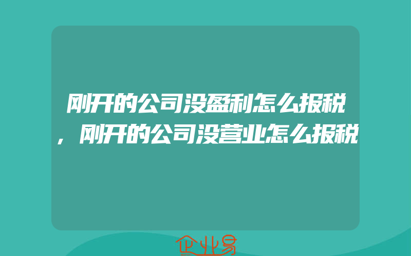 刚开的公司没盈利怎么报税,刚开的公司没营业怎么报税