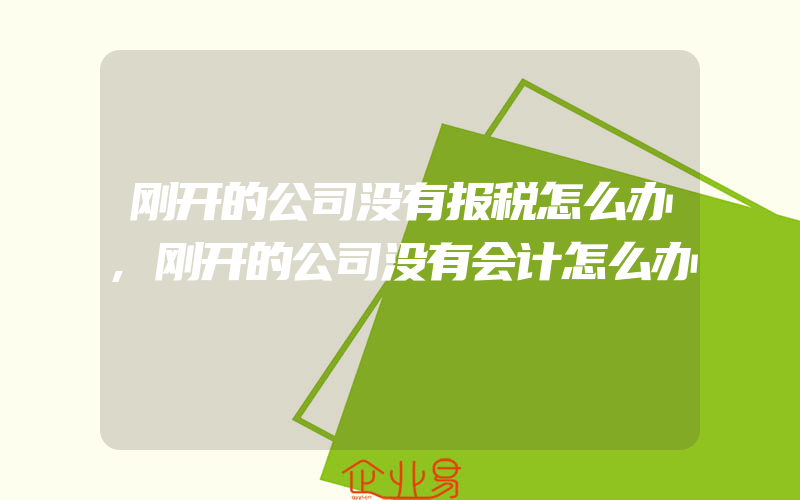 刚开的公司没有报税怎么办,刚开的公司没有会计怎么办