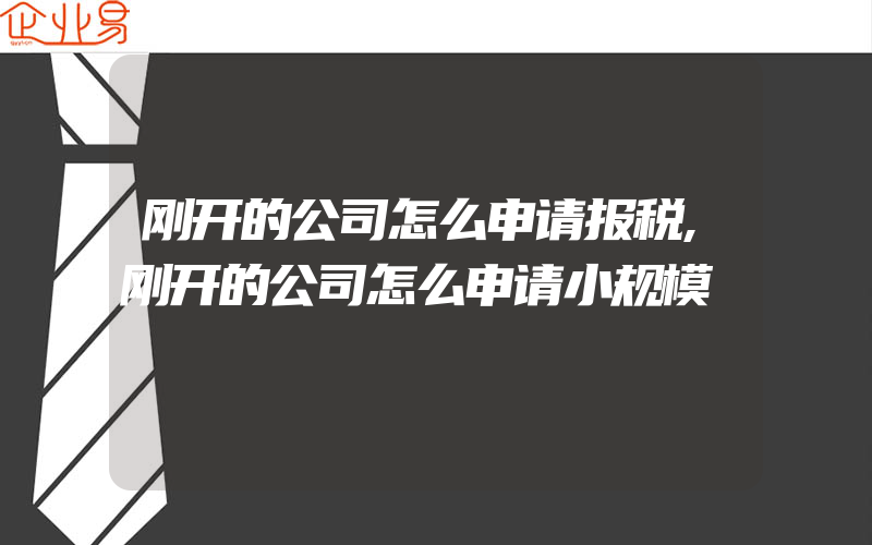 刚开的公司怎么申请报税,刚开的公司怎么申请小规模