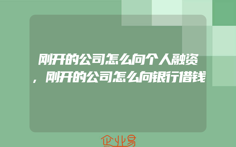 刚开的公司怎么向个人融资,刚开的公司怎么向银行借钱