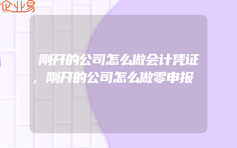 刚开的公司怎么做会计凭证,刚开的公司怎么做零申报