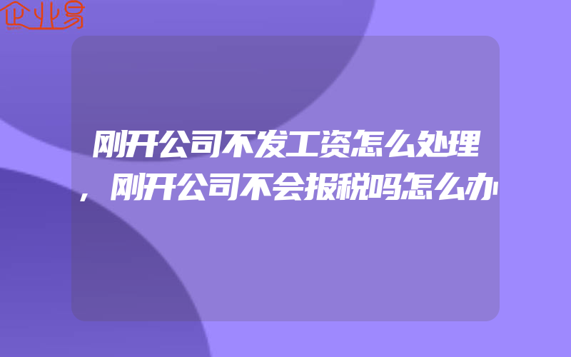 刚开公司不发工资怎么处理,刚开公司不会报税吗怎么办