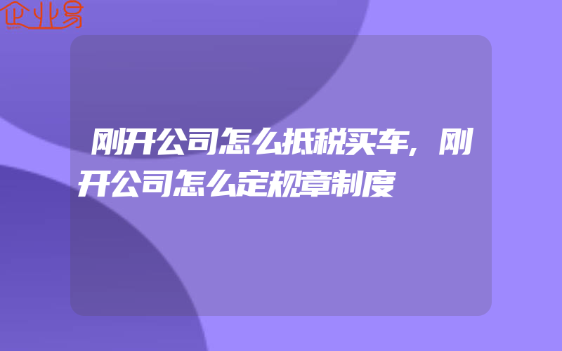 刚开公司怎么抵税买车,刚开公司怎么定规章制度