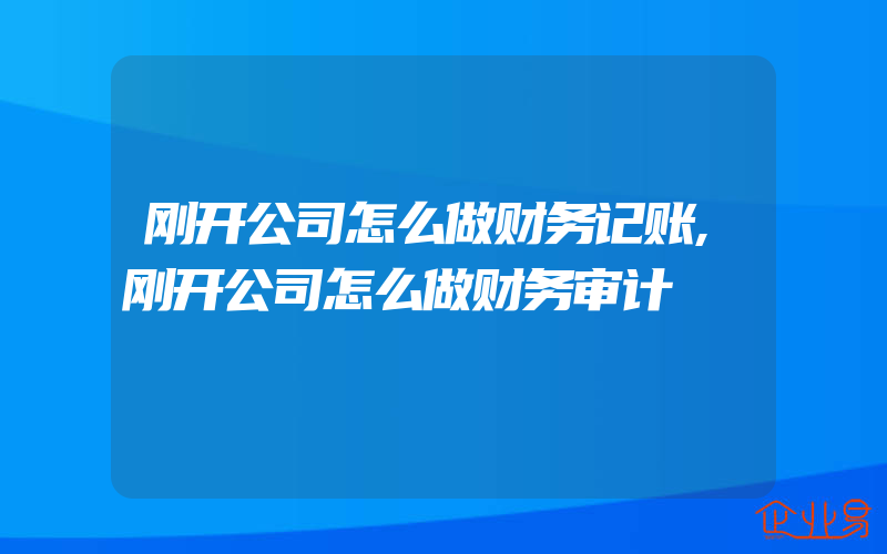 刚开公司怎么做财务记账,刚开公司怎么做财务审计