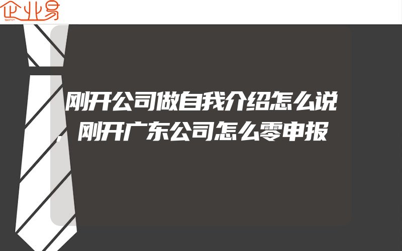 刚开公司做自我介绍怎么说,刚开广东公司怎么零申报