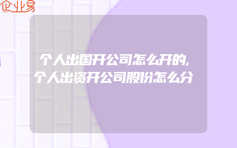 个人出国开公司怎么开的,个人出资开公司股份怎么分