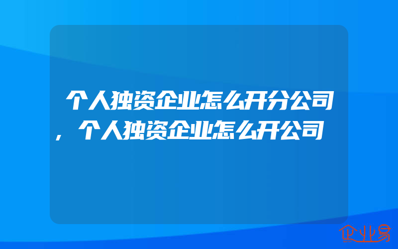 个人独资企业怎么开分公司,个人独资企业怎么开公司