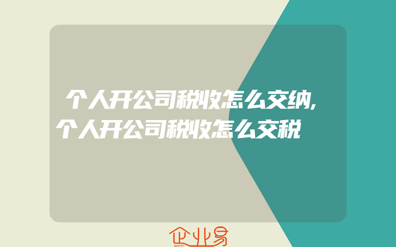 个人开公司税收怎么交纳,个人开公司税收怎么交税