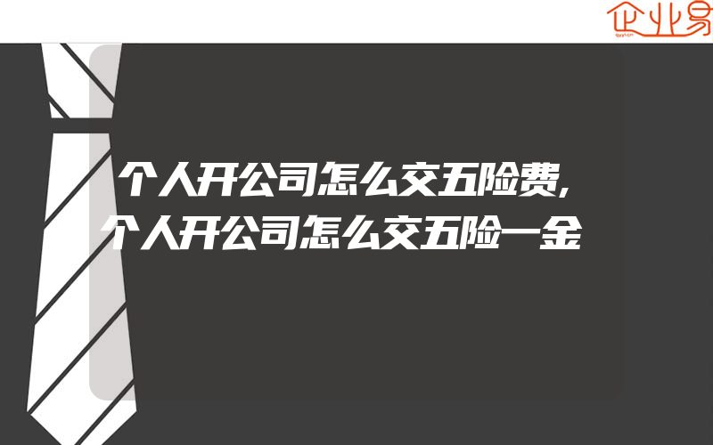 个人开公司怎么交五险费,个人开公司怎么交五险一金