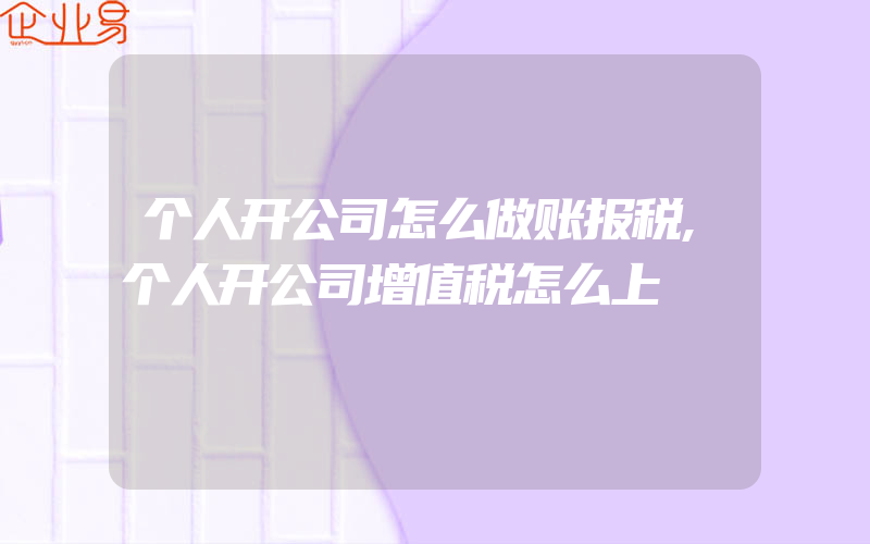 个人开公司怎么做账报税,个人开公司增值税怎么上