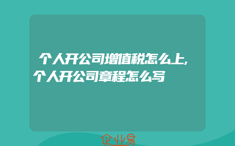 个人开公司增值税怎么上,个人开公司章程怎么写