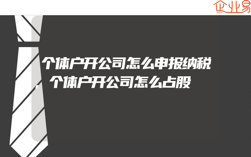 个体户开公司怎么申报纳税,个体户开公司怎么占股