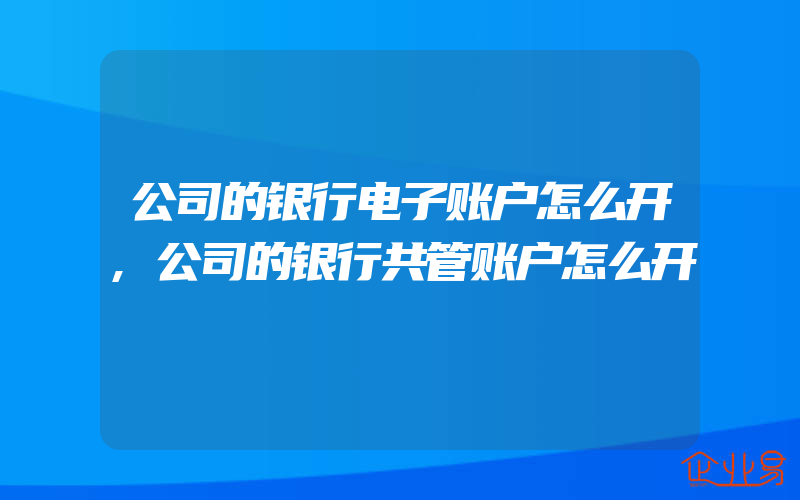 公司的银行电子账户怎么开,公司的银行共管账户怎么开