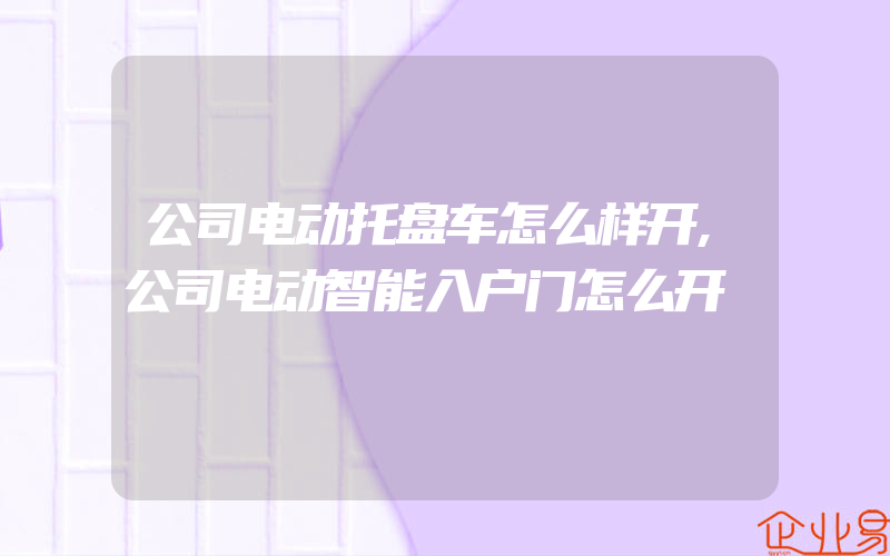 公司电动托盘车怎么样开,公司电动智能入户门怎么开