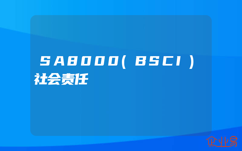 SA8000(BSCI)社会责任