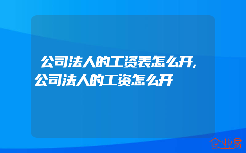 公司法人的工资表怎么开,公司法人的工资怎么开