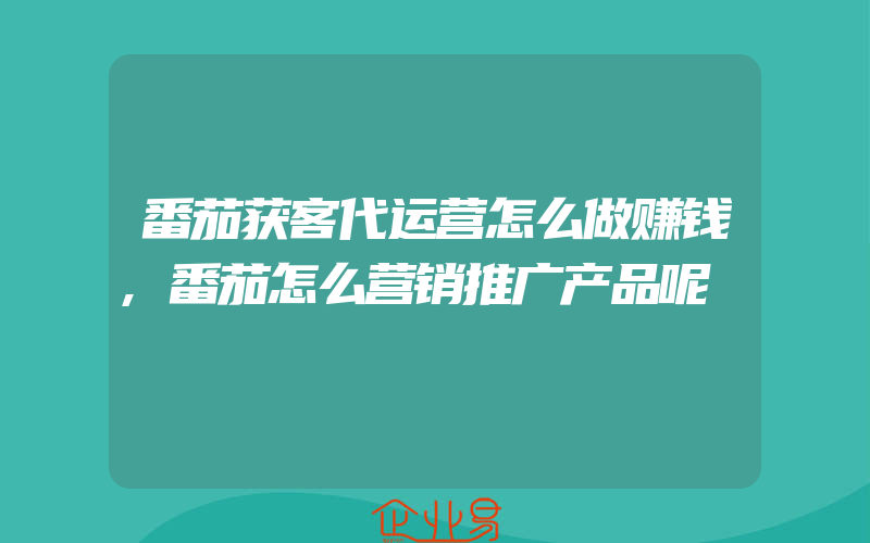 番茄获客代运营怎么做赚钱,番茄怎么营销推广产品呢