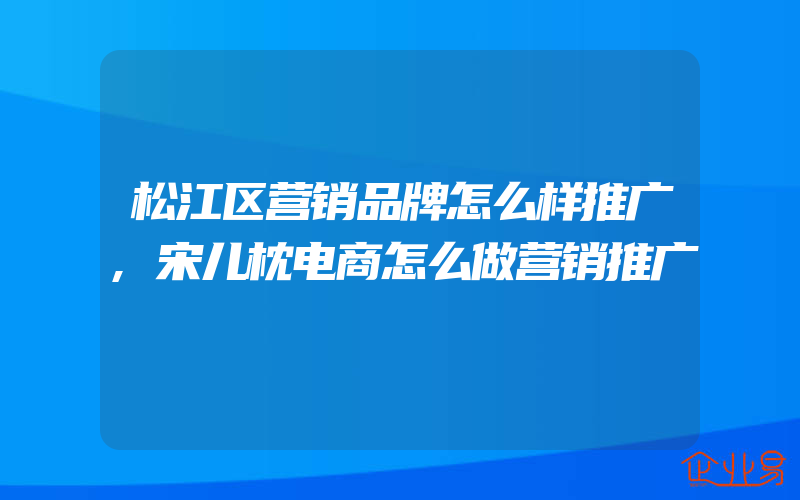 松江区营销品牌怎么样推广,宋儿枕电商怎么做营销推广