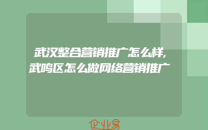 武汉整合营销推广怎么样,武鸣区怎么做网络营销推广