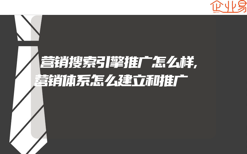 营销搜索引擎推广怎么样,营销体系怎么建立和推广