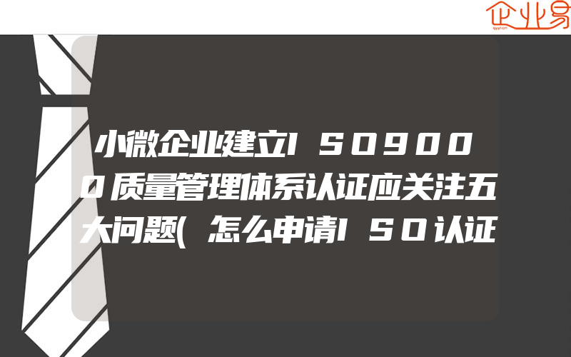 小微企业建立ISO9000质量管理体系认证应关注五大问题(怎么申请ISO认证)