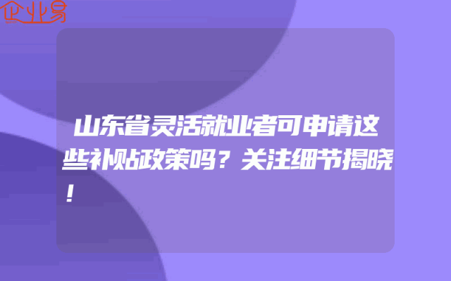 山东省灵活就业者可申请这些补贴政策吗？关注细节揭晓！