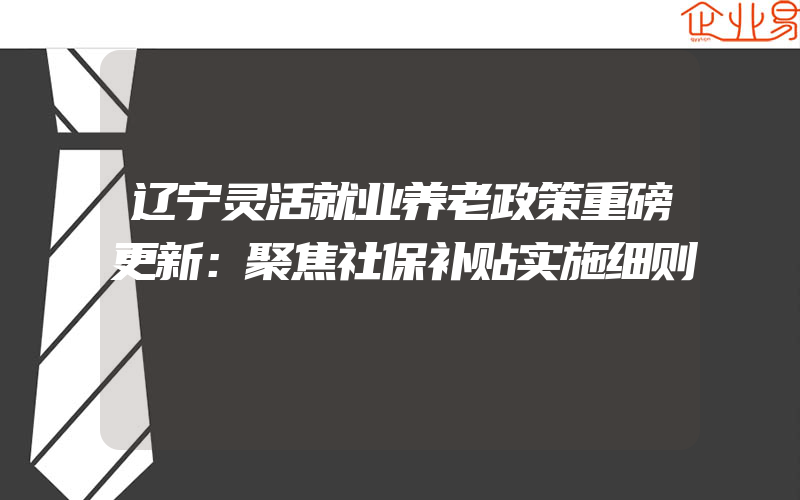 辽宁灵活就业养老政策重磅更新：聚焦社保补贴实施细则