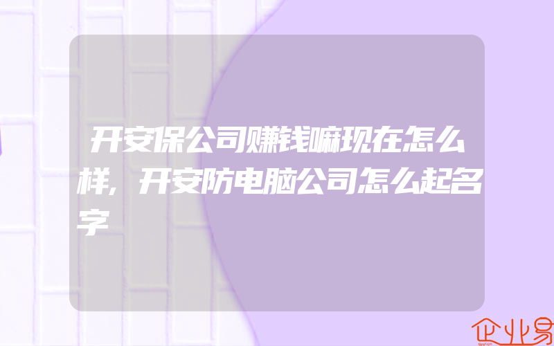 开安保公司赚钱嘛现在怎么样,开安防电脑公司怎么起名字