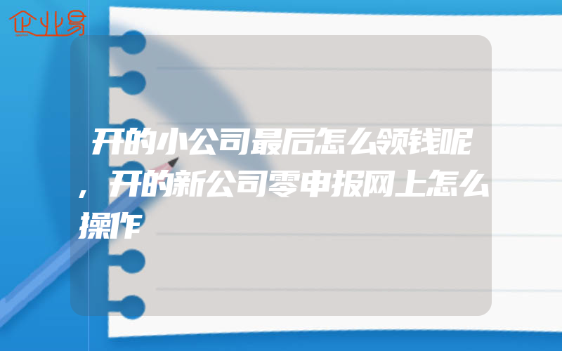 开的小公司最后怎么领钱呢,开的新公司零申报网上怎么操作